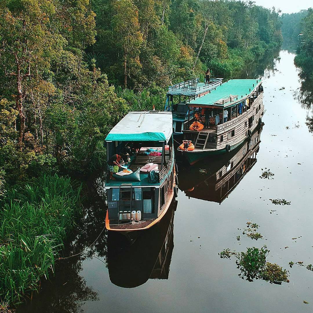 Have you been to Tanjung Puting National Park in Borneo, Indonesia Mail us to ourborneo@gmail.co
